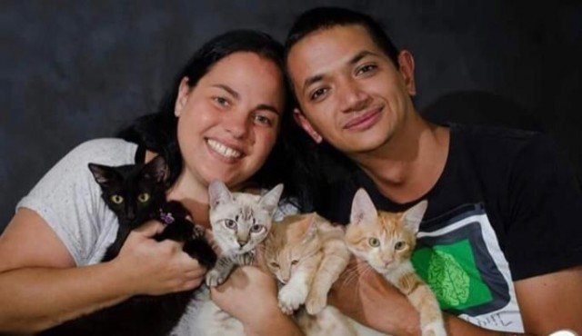 Morte de casal deixa mais de 50 gatos e três cães com destino indefinido
