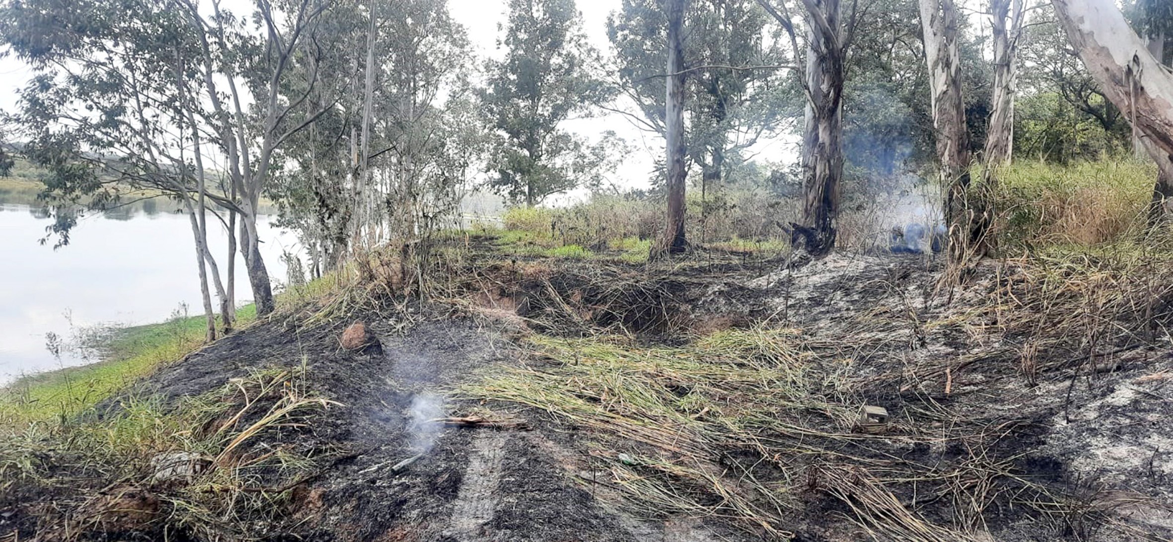 GM de Sumaré prende trio suspeito de provocar incêndio no Horto Florestal
