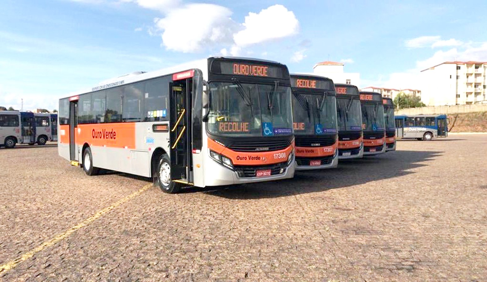 Transporte urbano amplia frota com ônibus novos e modernos em circulação