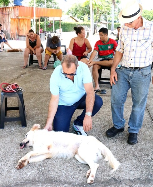 Nova Odessa anuncia castração de mais 326 pets de famílias carentes