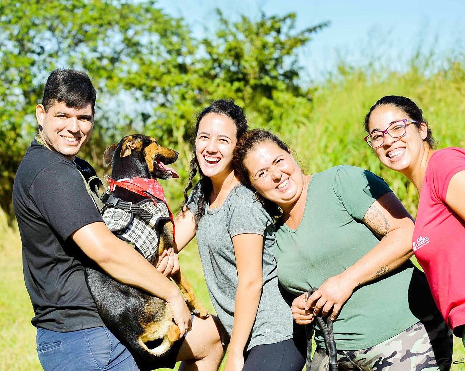 AAANO inicia projeto pioneiro de adoção digital em parceria com site Patas da Casa