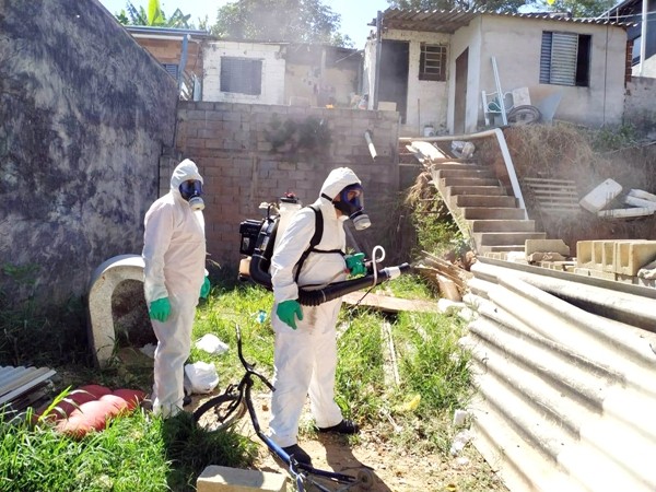 Casos de dengue explodem na RMC com 13,9 mil contaminados e cinco mortes