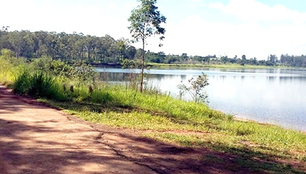 Chuvas de setembro aliviam efeitos da estiagem, mas acumulado do ano segue abaixo da média em Sumaré