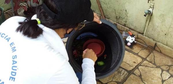 Em alerta por riscos de infestação, Sumaré realiza Operação Dengue