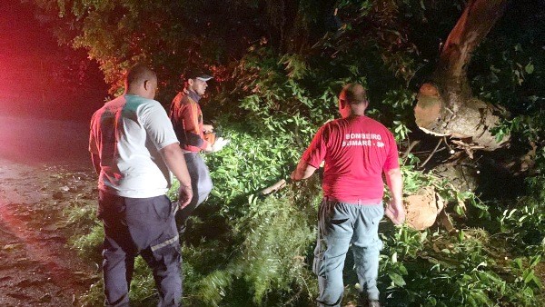 Novo temporal derruba 40 árvores e muros de residências em Sumaré