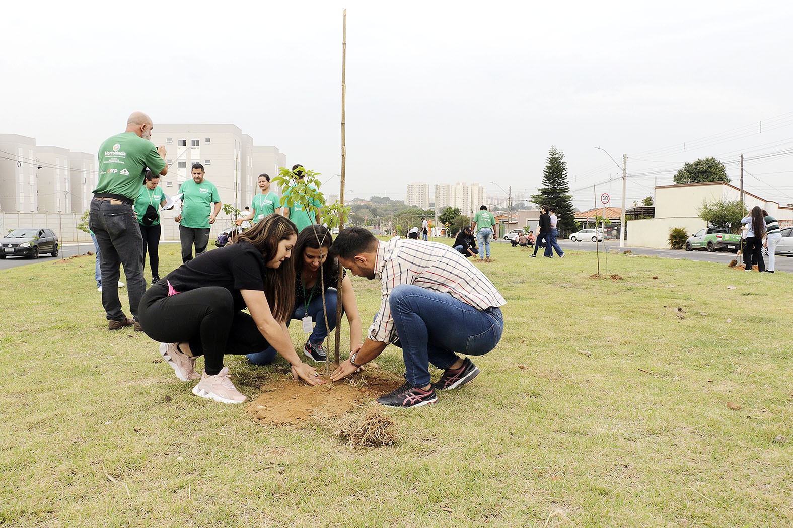Hortolândia é única da RMC com programa de arborização urbana reconhecido pela ONU