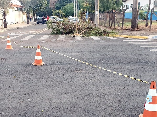Vendaval destelha restaurante e derruba árvore em Nova Odessa