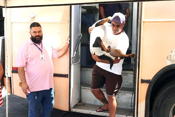 Monte Mor promove mutirão gratuito de castração de cães e gatos na cidade