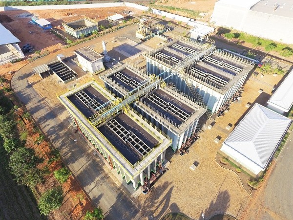 Cetesb descarta mortandade de peixes por suposto despejo irregular de esgoto na ETE Quilombo