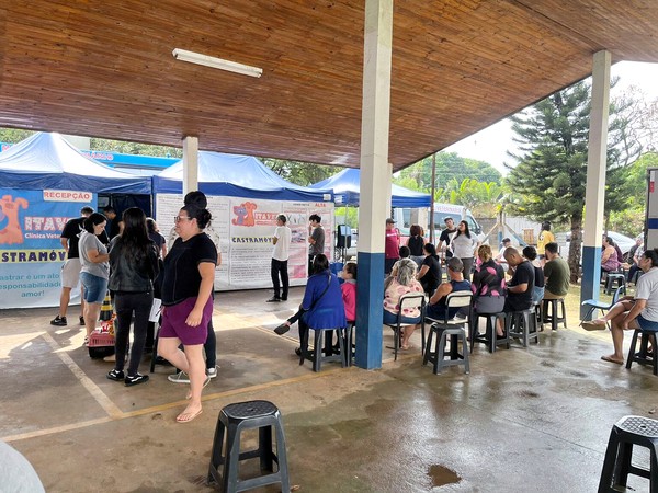 Inscrições para mutirão de castração serão abertas nesta 2ª, em Hortolândia