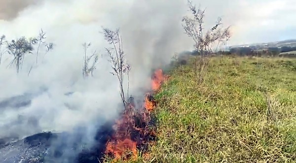 Prefeitura de Monte Mor vai multar quem atear fogo em áreas de mata