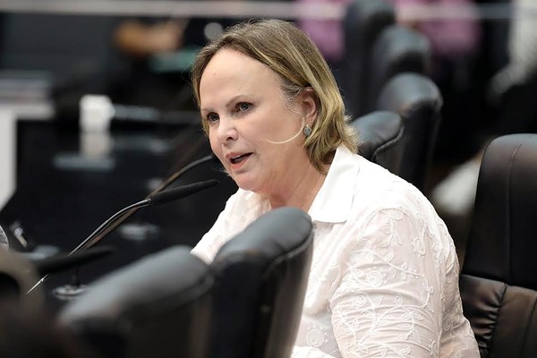 Ana Perugini toma posse na Comissão de Saúde e defende fim da fila Cross