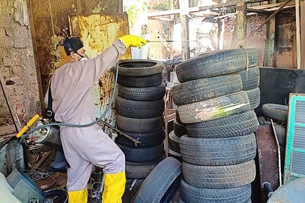Sumaré confirma 12ª morte por dengue no ano e intensifica visitas casa a casa