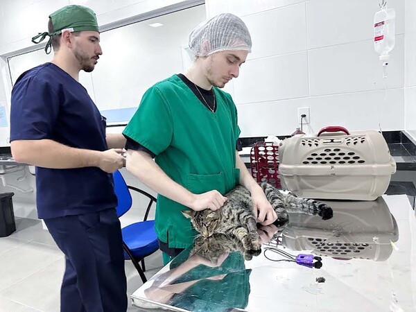 Nova Odessa faz 7,4 mil atendimentos no Bem-Estar Animal em três meses