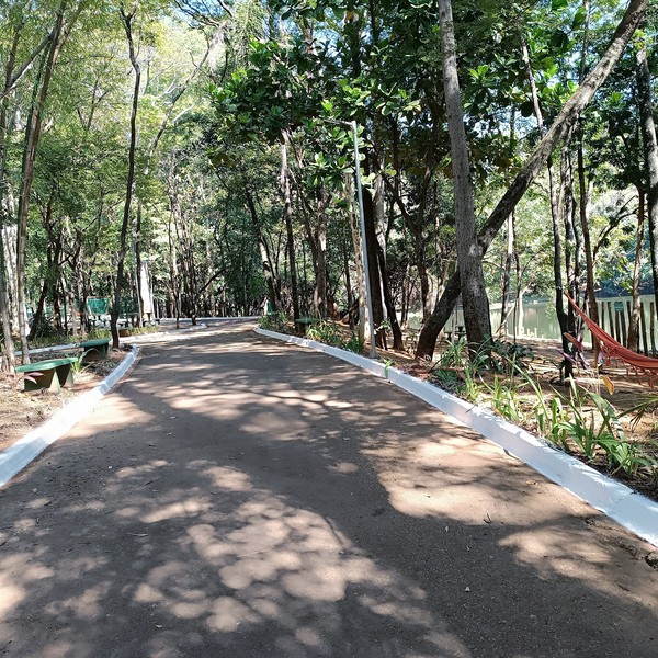 Leitinho entrega revitalização do Bosque Manoel Jorge no Dia do Meio Ambiente