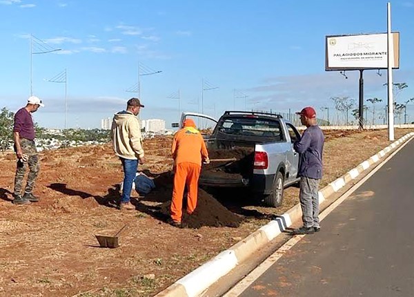 Zezé estreia projeto de microfloresta urbana nesta quinta, em Hortolândia
