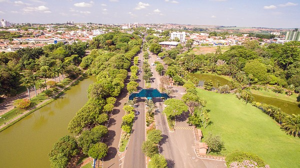 Sumaré e Paulínia se aproximam de 90% em índice de arborização urbana