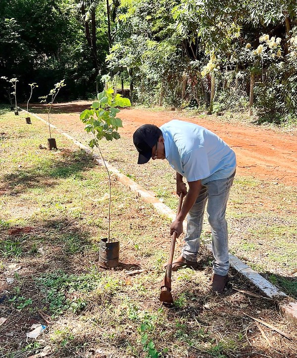 Prefeito Henrique regulamenta novo Programa ‘Disque Plante uma Árvore’