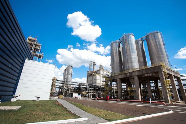 Braskem recebe alunos em Paulínia e amplia conexão com futuro da engenharia química