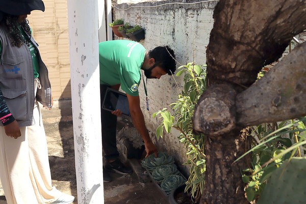 Região soma 56 mortes por dengue no ano e tem 26,4 mil casos, revela Estado