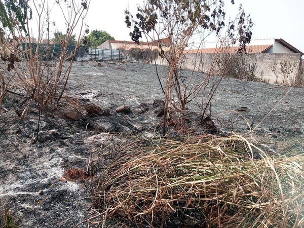 Número de autuações por queimadas cai 75% em Hortolândia, diz estudo