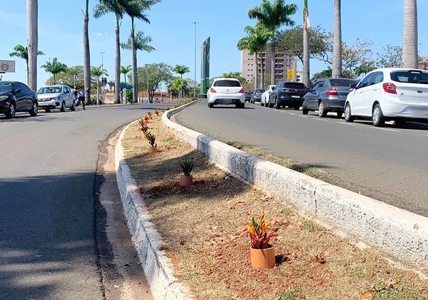 Nova Odessa inicia ação de paisagismo urbano em canteiros públicos da cidade