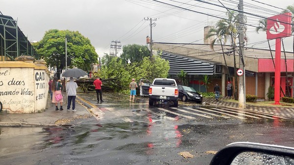 Temporal provoca estragos na região e rastro de destruição atinge cidades