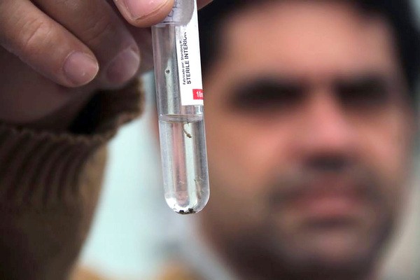 Região chega a 59 mortes por dengue e mais de 27 mil moradores infectados