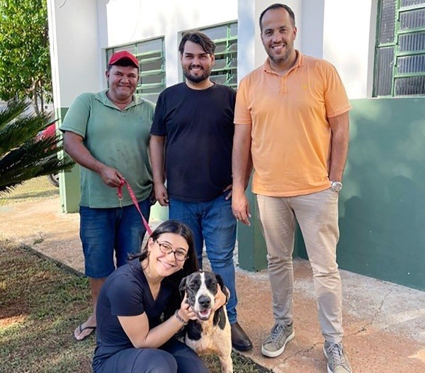Cães adultos encontram novo lar em Sumaré com a adoção responsável
