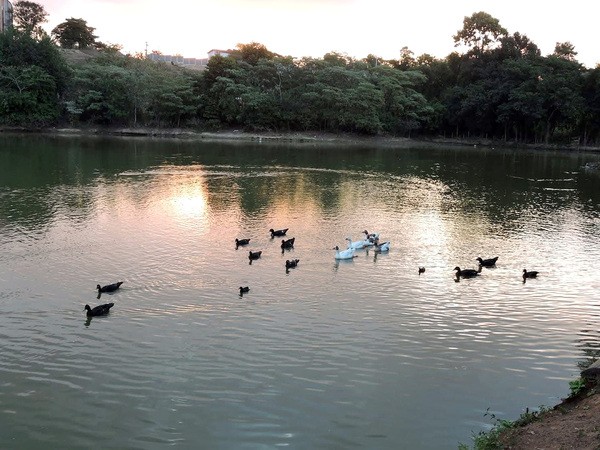 Monte Mor investiga desaparecimento de documentos do patrimônio histórico