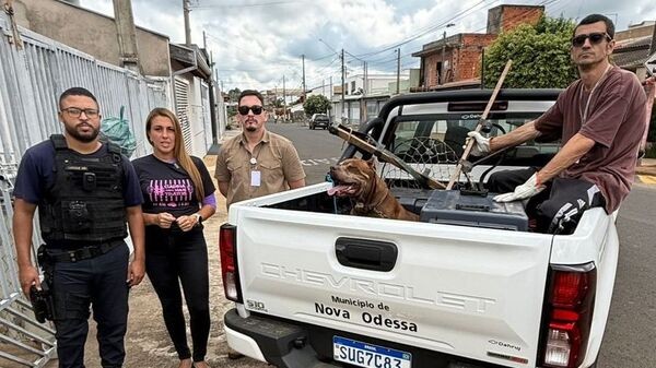 Vereadora Priscila Peterlevitz acompanha resgate de cão idoso vítima de maus-tratos em Nova Odessa