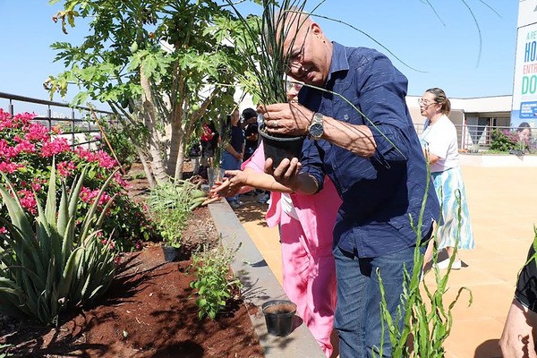 Hortolândia cultiva Jardim Terapêutico para bem-estar de servidores municipais