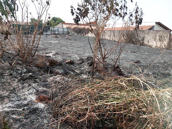Hortolândia adere à Operação SP Sem Fogo para prevenir focos de incêndio
