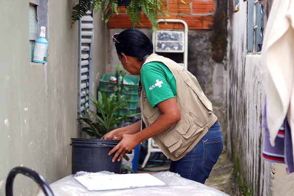 Super El Niño acende alerta e Hortolândia reforça combate contra o mosquito da dengue