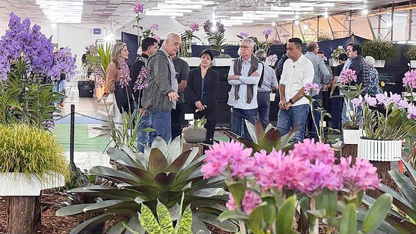 Expo Orquídea acontece na FIDAM de sexta a domingo, em Americana