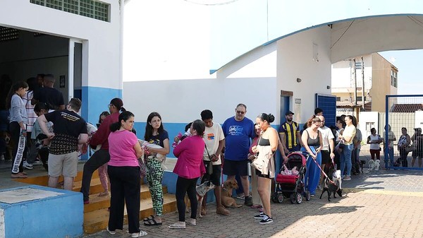 Hortolândia abre inscrições para mutirão de castração de cães e gatos