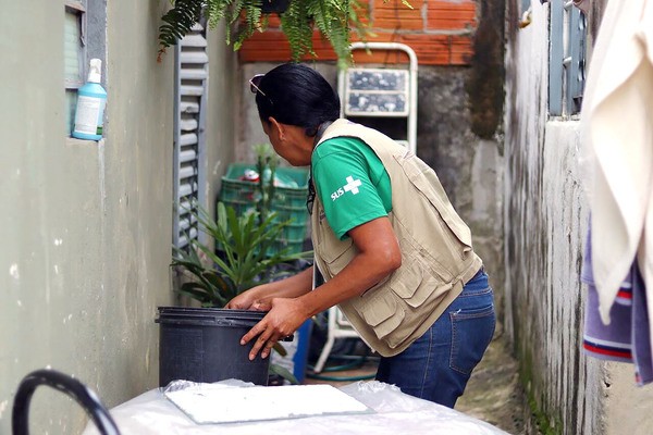 População de Hortolândia colabora na ação de contagem de larvas do Aedes